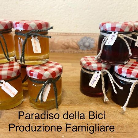 Paradiso Della Bici Morbegno Bagian luar foto