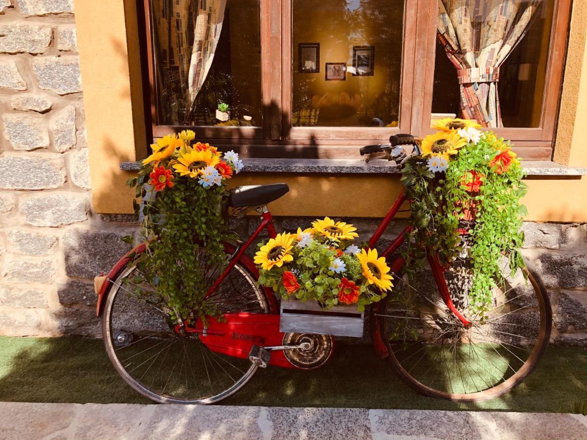 Paradiso Della Bici Morbegno Bagian luar foto