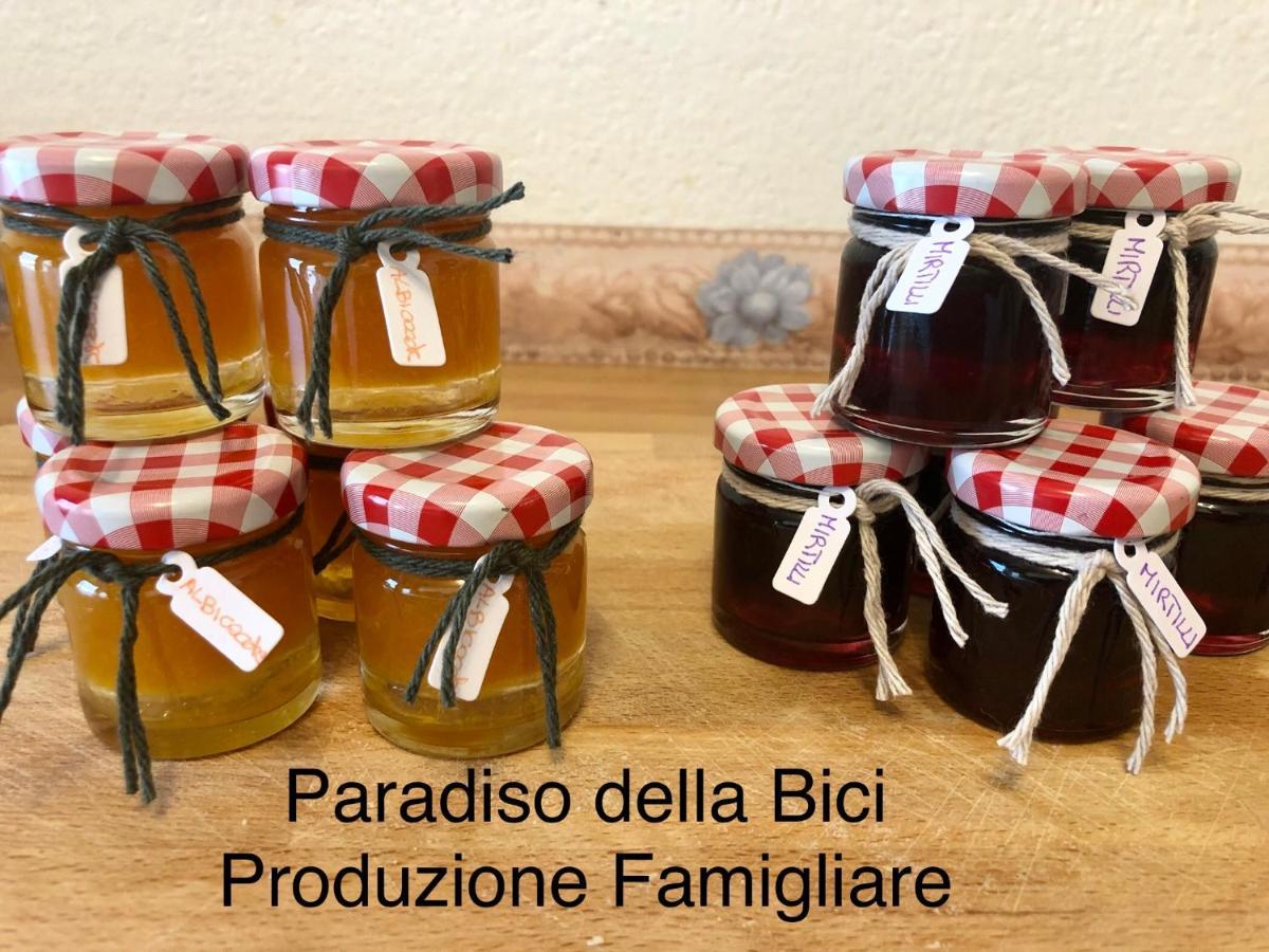Paradiso Della Bici Morbegno Bagian luar foto
